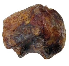 Meaty Natural Knee Cap